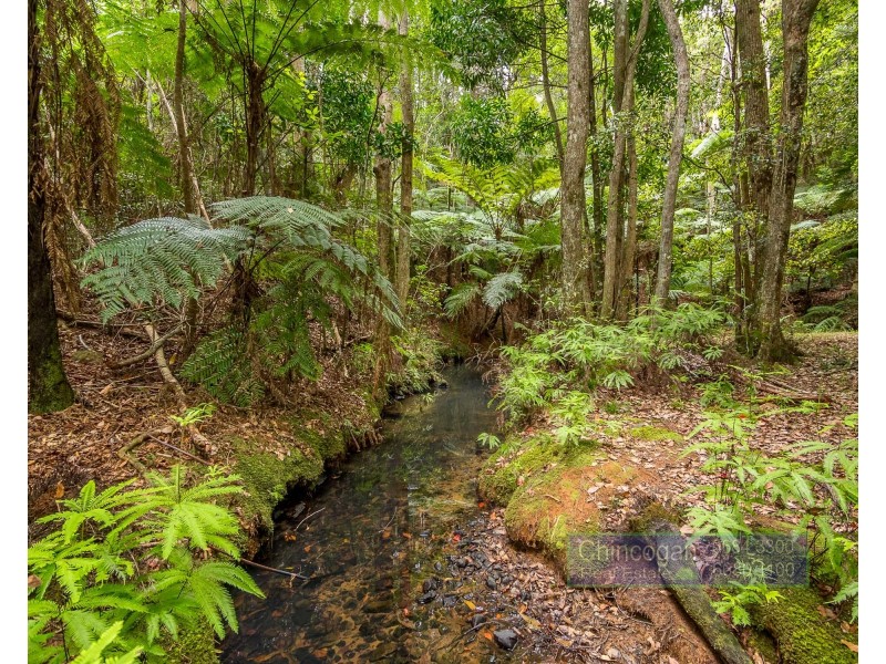 121 Greenvale Court, Burringbar NSW 2483