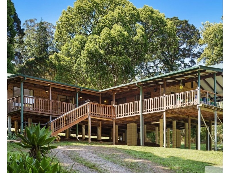 9 Black Bean Road, Wilsons Creek NSW 2482