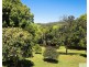 9 Black Bean Road, Wilsons Creek NSW 2482