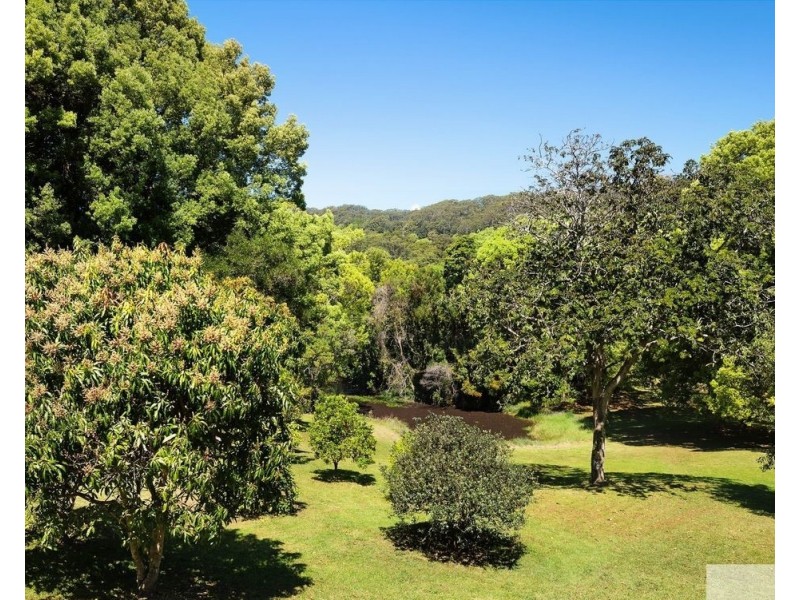 9 Black Bean Road, Wilsons Creek NSW 2482