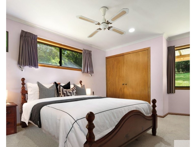 9 Black Bean Road, Wilsons Creek NSW 2482