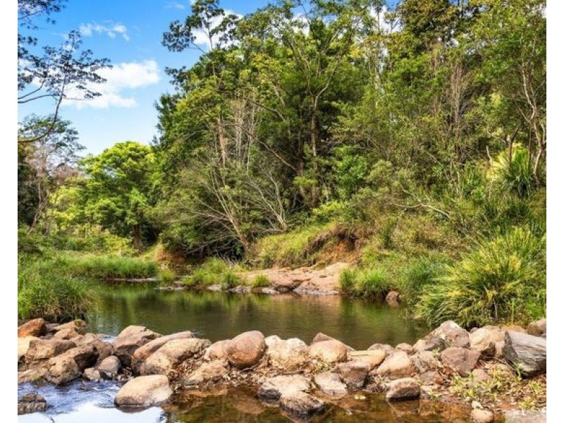 9 Black Bean Road, Wilsons Creek NSW 2482