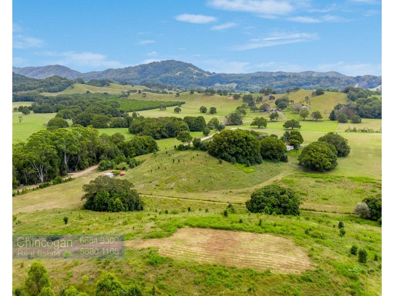 371 The Pocket Road, The Pocket NSW 2483