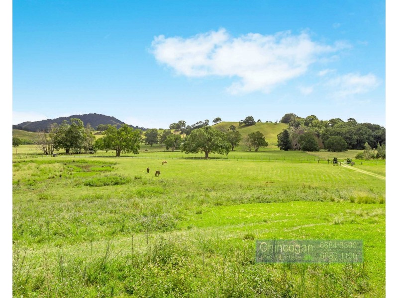 371 The Pocket Road, The Pocket NSW 2483