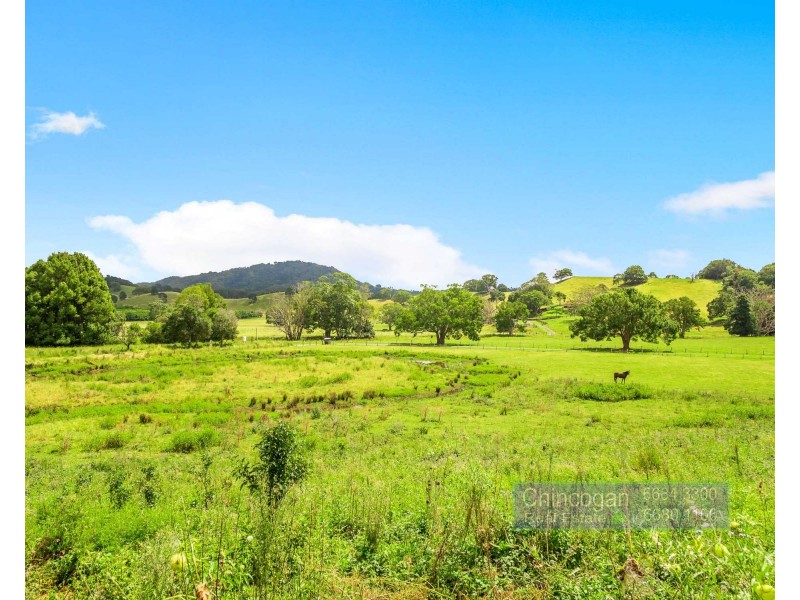 371 The Pocket Road, The Pocket NSW 2483