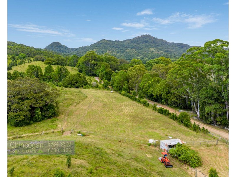 371 The Pocket Road, The Pocket NSW 2483