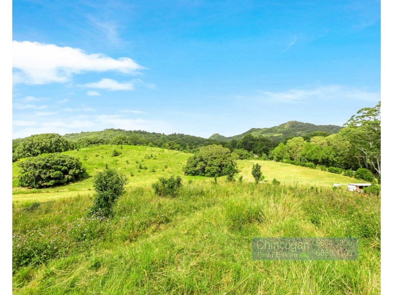 371 The Pocket Road, The Pocket NSW 2483