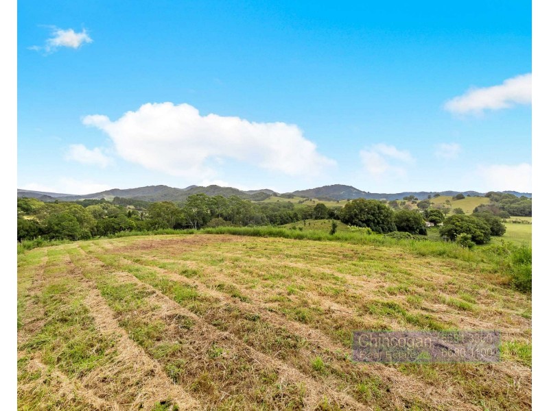 371 The Pocket Road, The Pocket NSW 2483