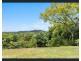 167 Sheaffes Road, Goonengerry NSW 2482