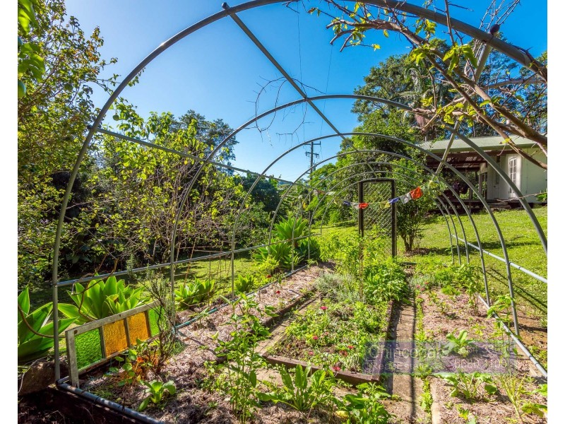 114 Settlement Road, Main Arm NSW 2482