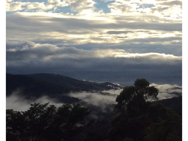 109 Motts Road, Main Arm NSW 2482