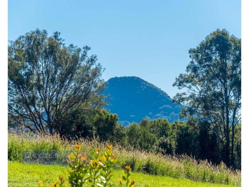 225 Woodswallow Way, Mullumbimby NSW 2482