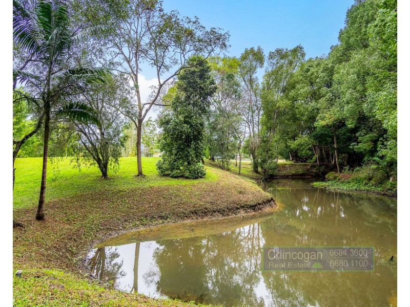 320 Left Bank Road, Mullumbimby NSW 2482