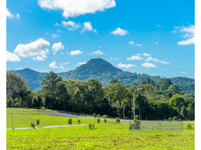 200/107 Tuckeroo Avenue, Mullumbimby NSW 2482