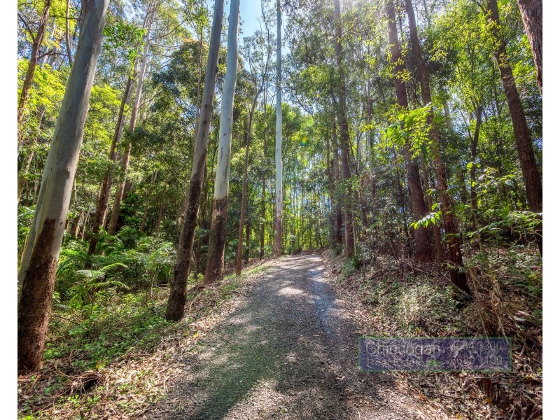 233 Repentance Creek Road, Goonengerry NSW 2482