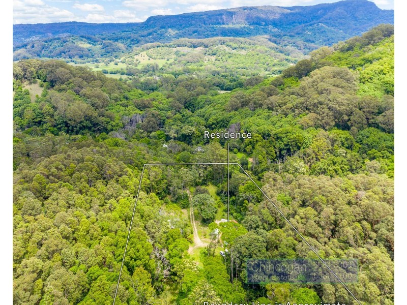 5/470 Main Arm Rd, Main Arm NSW 2482