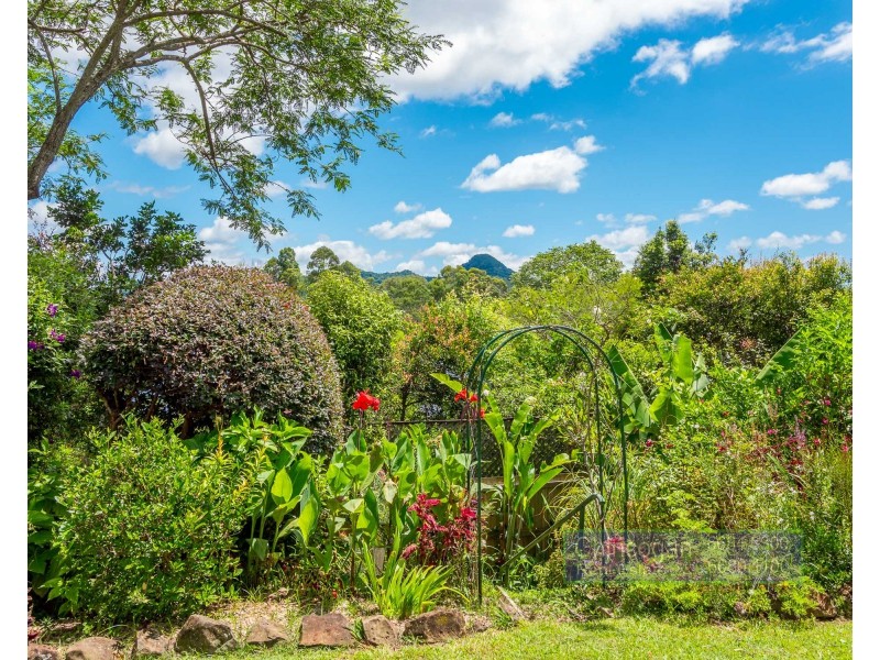 17 Golden Penda Place, Mullumbimby NSW 2482