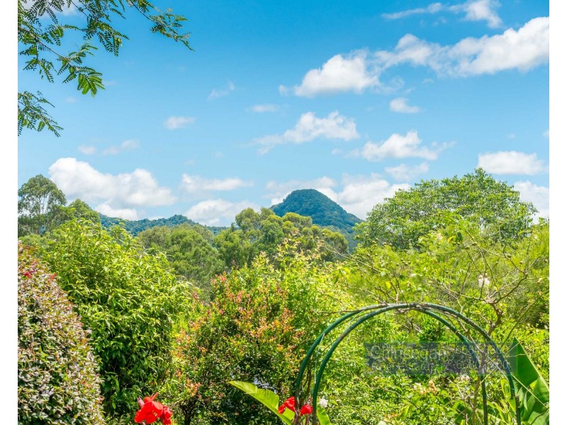 17 Golden Penda Place, Mullumbimby NSW 2482