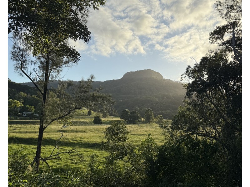 4 Moran Close, Main Arm NSW 2482