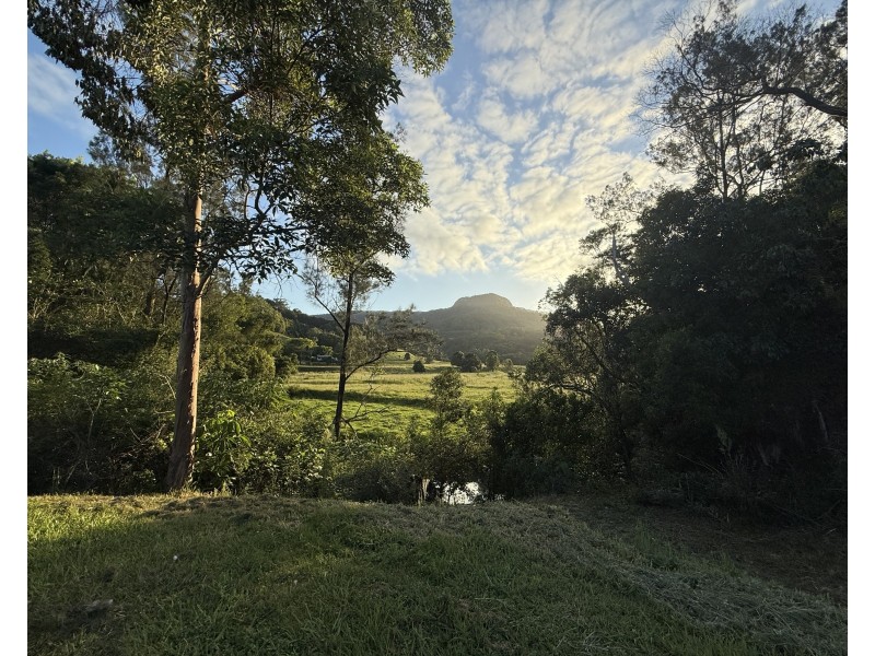 4 Moran Close, Main Arm NSW 2482