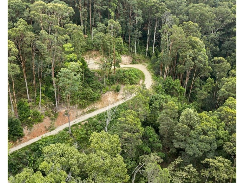 81 Dixons Road, Burringbar NSW 2483