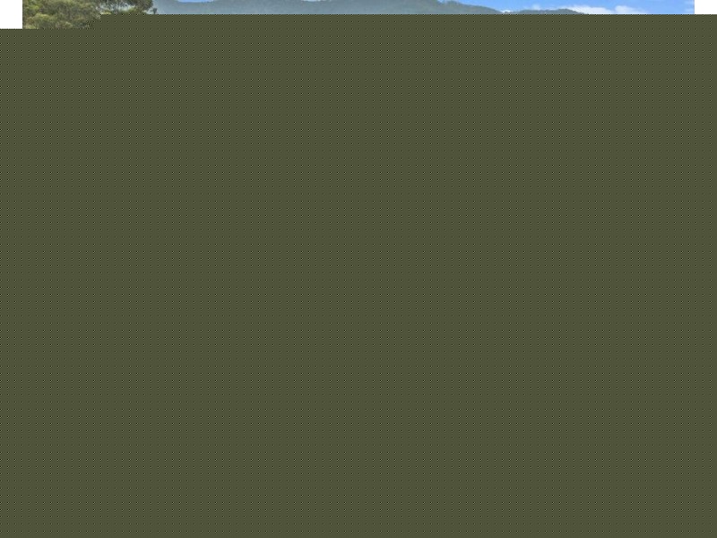 81 Dixons Road, Burringbar NSW 2483