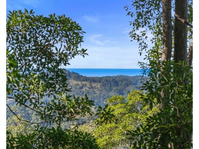 81 Dixons Road, Burringbar NSW 2483