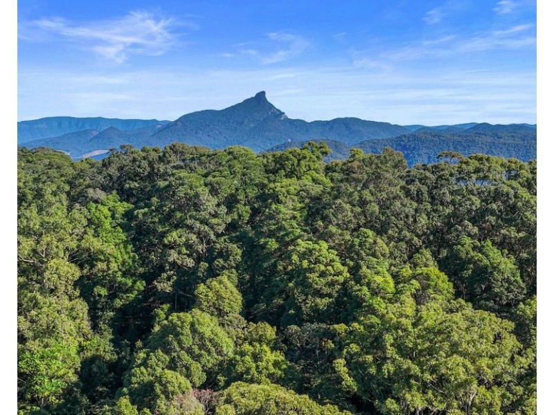 81 Dixons Road, Burringbar NSW 2483