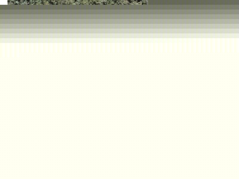 81 Dixons Road, Burringbar NSW 2483