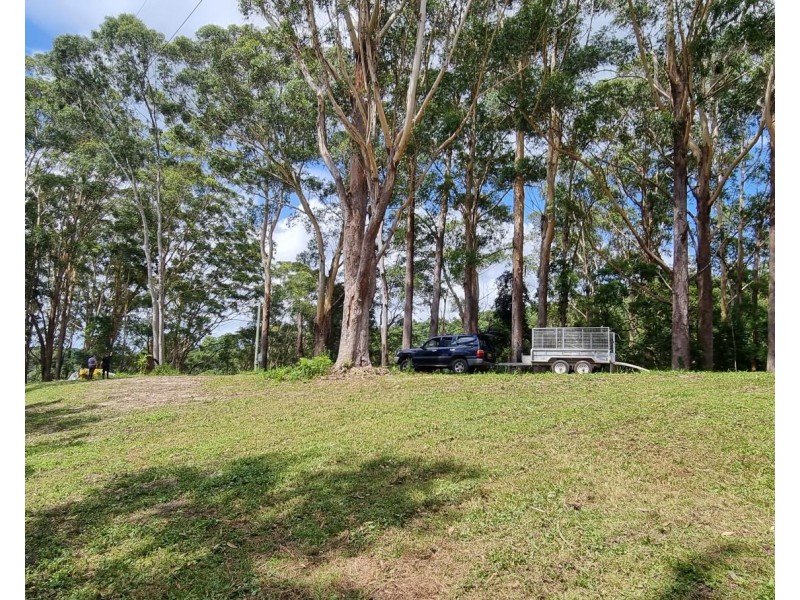 76 Maso Road, Repentance Creek NSW 2480