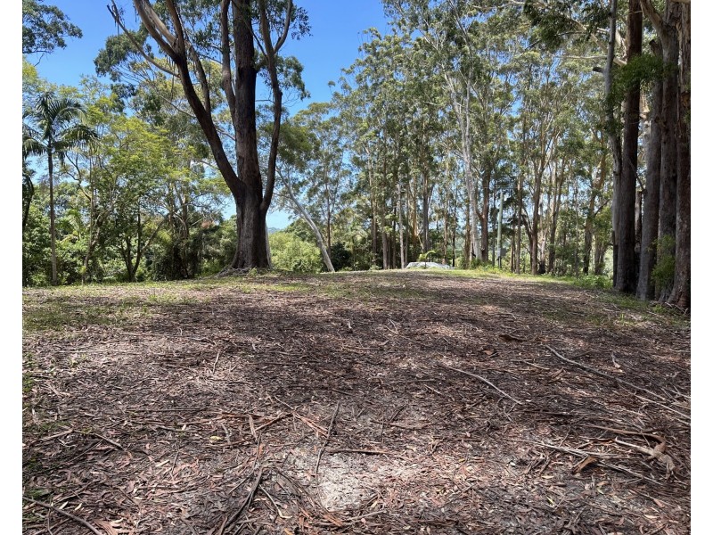 76 Maso Road, Repentance Creek NSW 2480