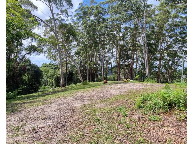 76 Maso Road, Repentance Creek NSW 2480