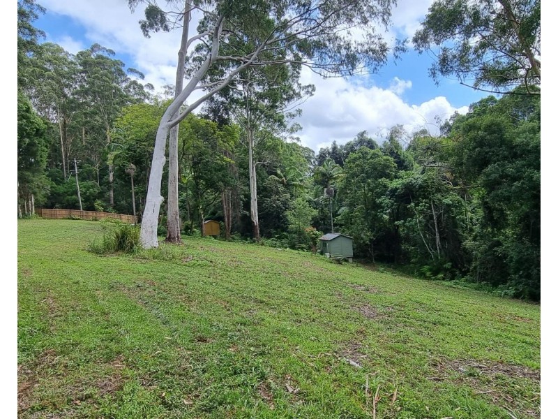 76 Maso Road, Repentance Creek NSW 2480