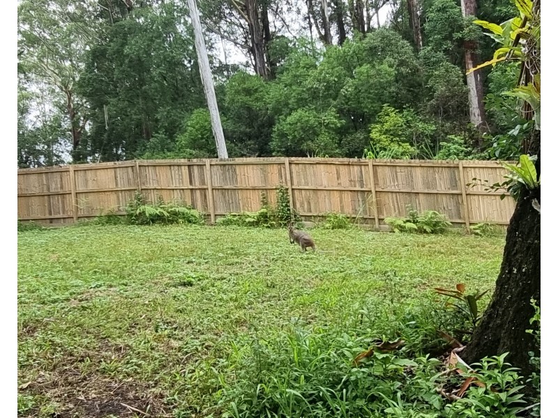 76 Maso Road, Repentance Creek NSW 2480