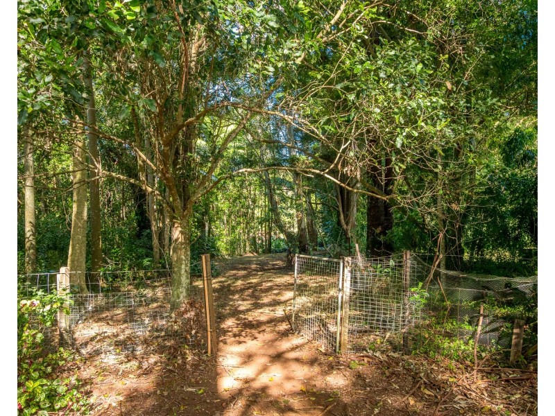 9 Left Bank Road, Mullumbimby NSW 2482