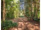 9 Left Bank Road, Mullumbimby NSW 2482