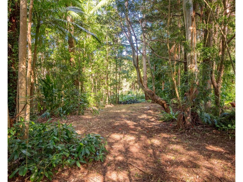 9 Left Bank Road, Mullumbimby NSW 2482