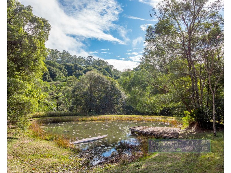 167 Goonengerry Mill Road, Goonengerry NSW 2482