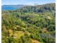 167 Goonengerry Mill Road, Goonengerry NSW 2482