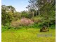 167 Goonengerry Mill Road, Goonengerry NSW 2482