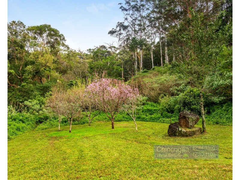 167 Goonengerry Mill Road, Goonengerry NSW 2482