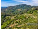 134 Snake Gully Road, Upper Burringbar NSW 2483
