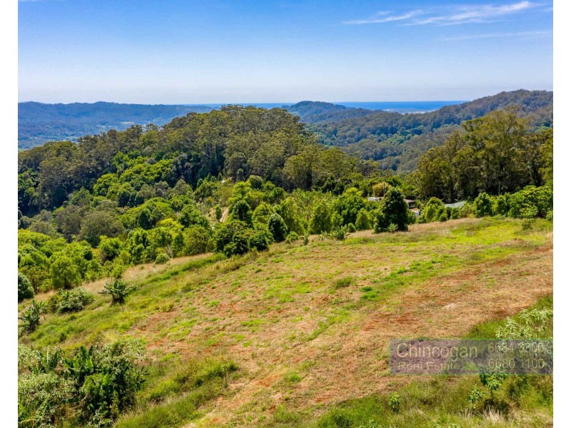 134 Snake Gully Road, Upper Burringbar NSW 2483