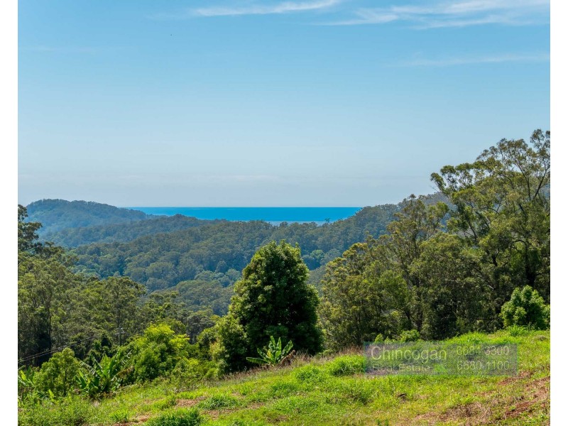 134 Snake Gully Road, Upper Burringbar NSW 2483