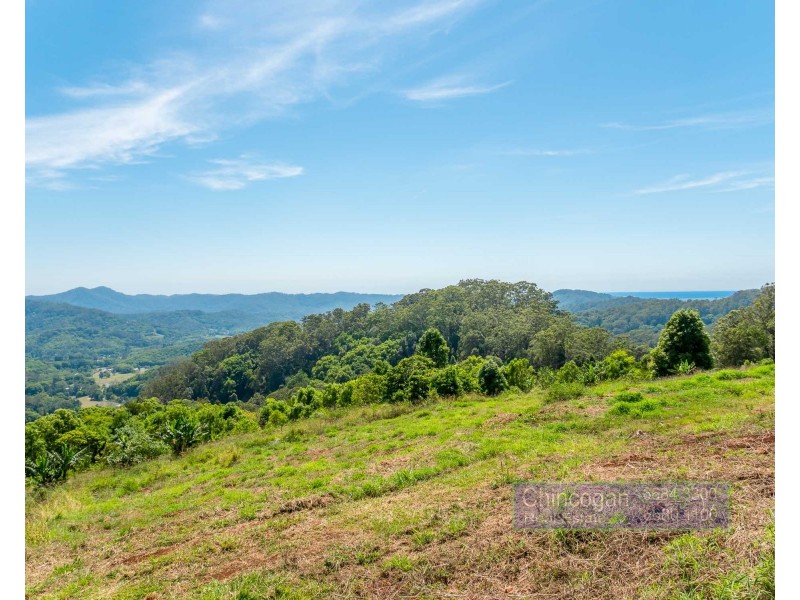 134 Snake Gully Road, Upper Burringbar NSW 2483