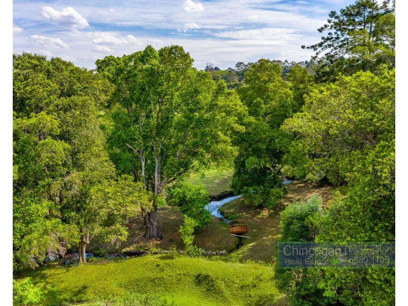 2046 Coolamon Scenic Drive, Mullumbimby NSW 2482