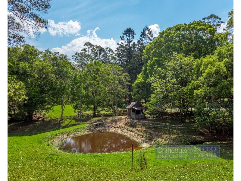 2046 Coolamon Scenic Drive, Mullumbimby NSW 2482