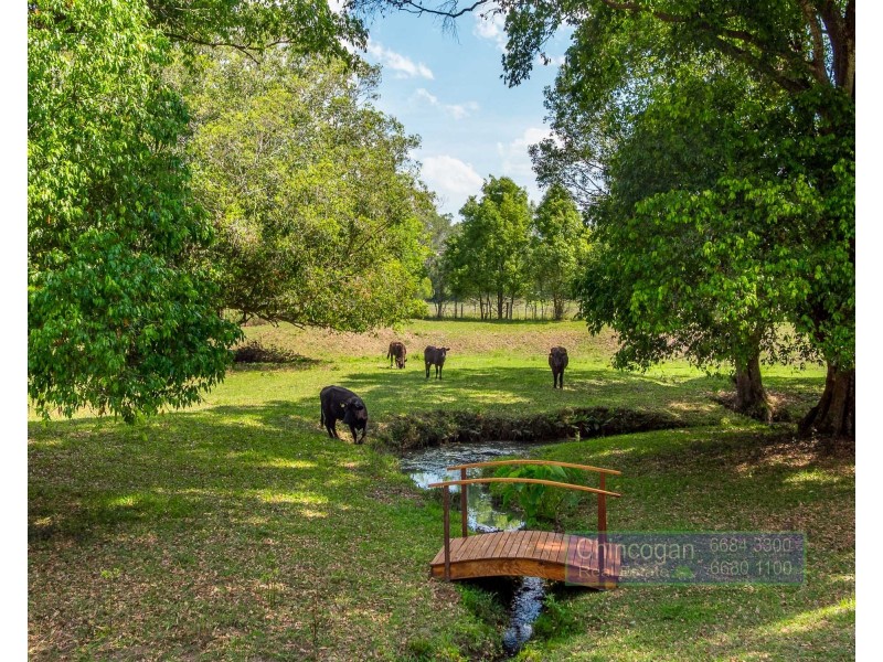 2046 Coolamon Scenic Drive, Mullumbimby NSW 2482