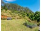 134 Snake Gully Road, Upper Burringbar NSW 2483