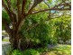 28 Queen Street, Mullumbimby NSW 2482